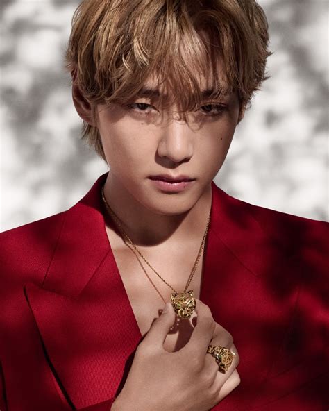 cartier panthere instagram|BTS' V Is Cartier's New Ambassador And Face Of Panthère de .